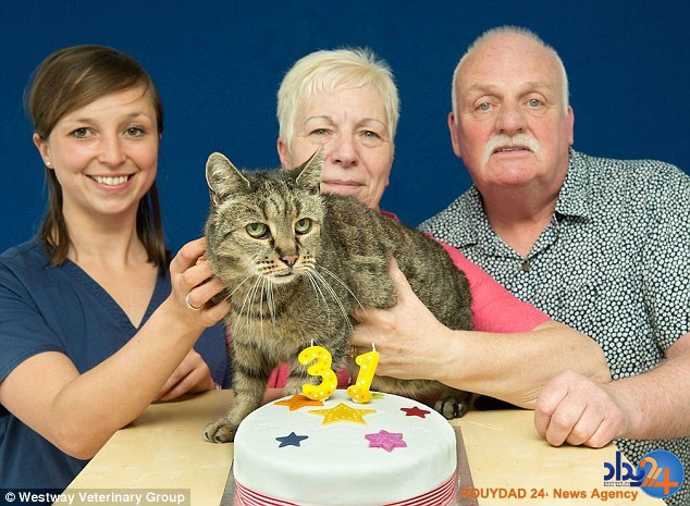 این پیرترین گربه جهان است؟ (تصاویر)