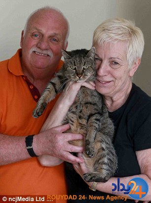 این پیرترین گربه جهان است؟ (تصاویر) این پیرترین گربه جهان است؟ (تصاویر)