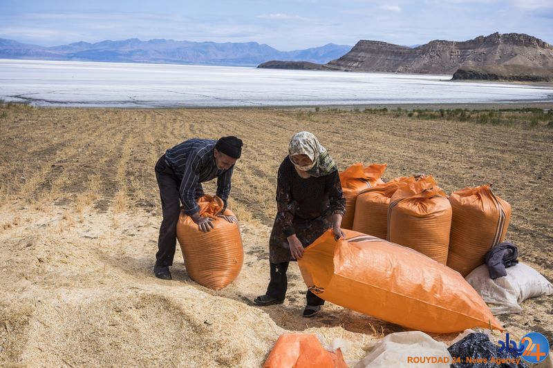 این بلایی است که تغییرات آب و هوایی بر سر ایران آورد
