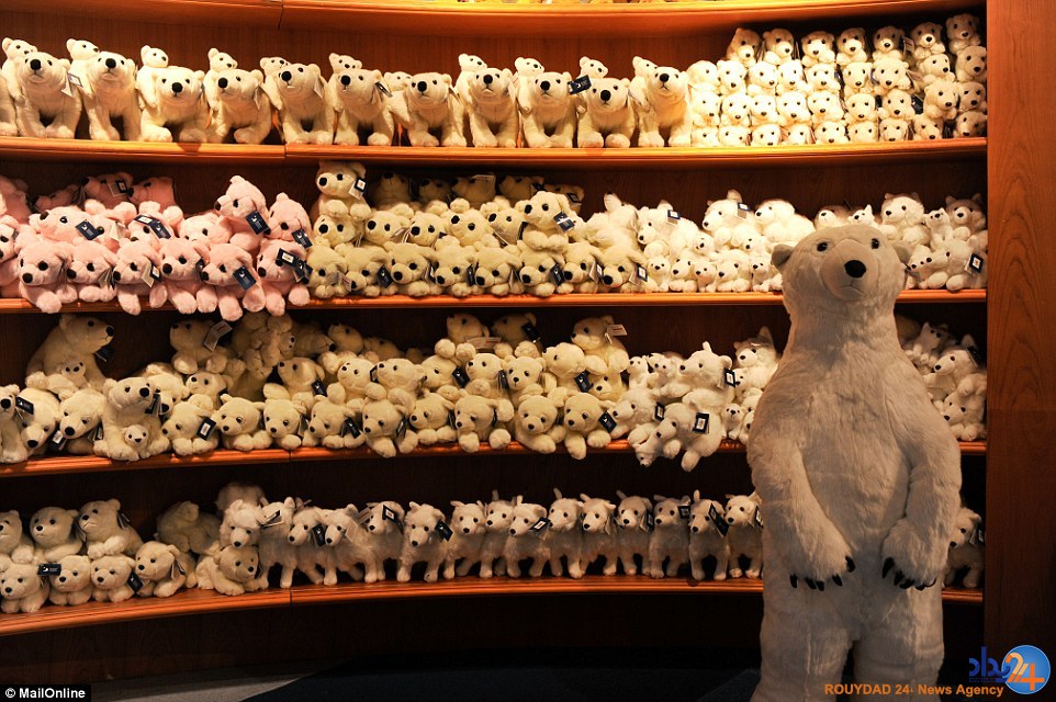 غمگین‌ترین خرس قطبی جهان در مرکزخرید چین (تصاویر)