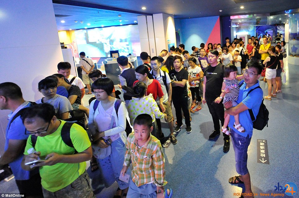 غمگین‌ترین خرس قطبی جهان در مرکزخرید چین (تصاویر)