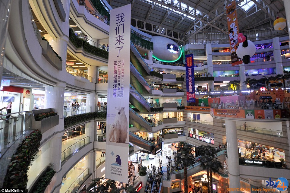 غمگین‌ترین خرس قطبی جهان در مرکزخرید چین (تصاویر)