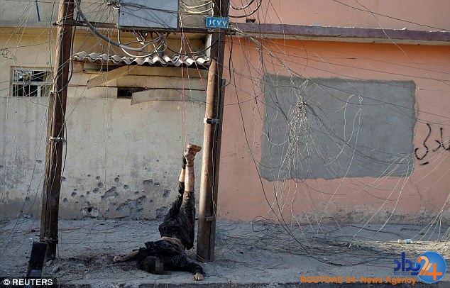 ژست وحشتناک و غیرانسانی نیروهای عراقی با جسد یک داعشی (تصاویر) ژست وحشتناک و غیرانسانی نیروهای عراقی با جسد یک داعشی (تصاویر)