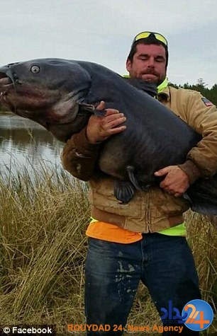 هیولای رودخانه در کارولینای شمالی صید شد (تصاویر) هیولای رودخانه در کارولینای شمالی صید شد (تصاویر)