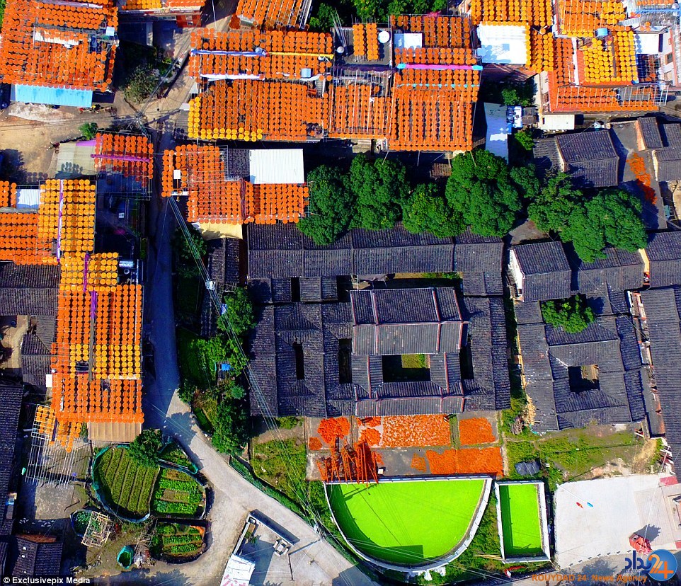 روستای خوشمزه چینی که در این فصل نارنجی می‌شود (تصاویر)