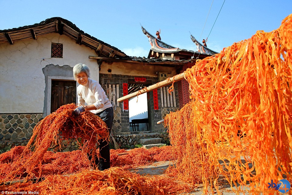روستای خوشمزه چینی که در این فصل نارنجی می‌شود (تصاویر)
