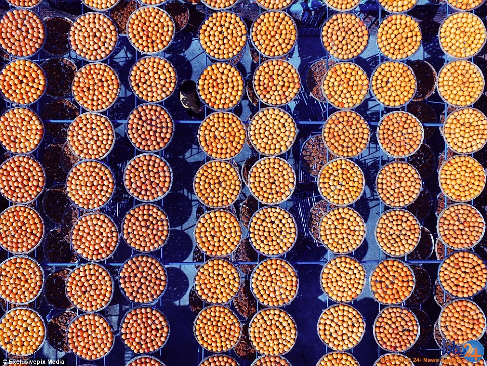 روستای خوشمزه چینی که در این فصل نارنجی می‌شود (تصاویر)