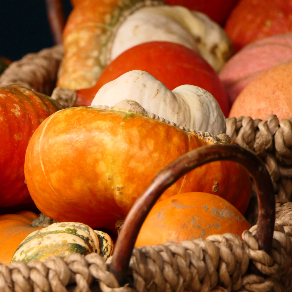 نکات عکاسی از برگ‌های پاییزی خیابان ولیعصر