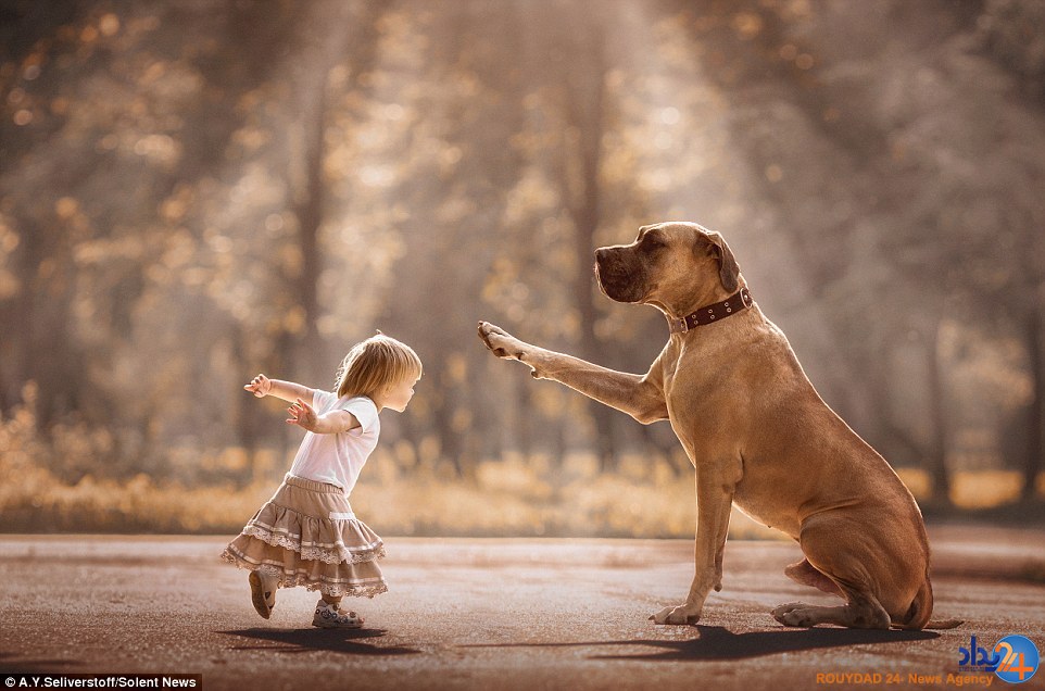 تصاویر باورنکردنی از کودکان نیم متری با سگ‌های بزرگ