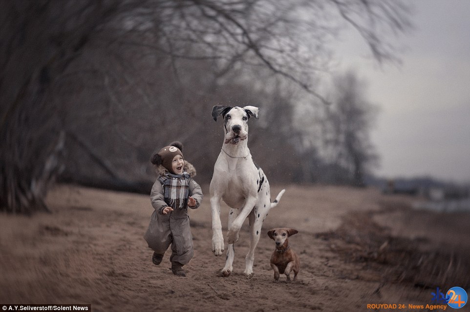 تصاویر باورنکردنی از کودکان نیم متری با سگ‌های بزرگ