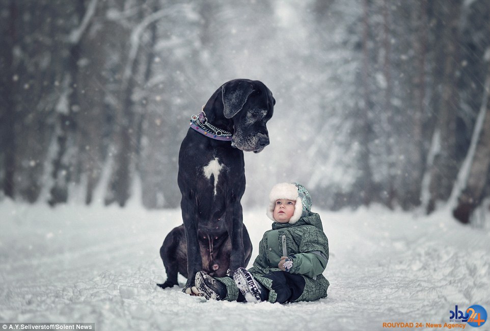 تصاویر باورنکردنی از کودکان نیم متری با سگ‌های بزرگ