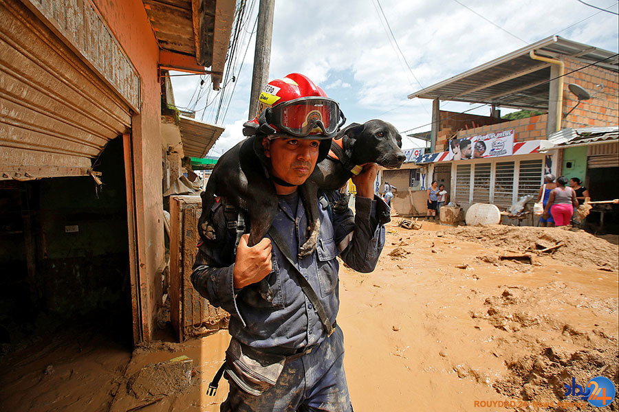 از آتش‌بازی طرفداران بسکتبال تا گردش گربه‌ای در کوله‌پشتی