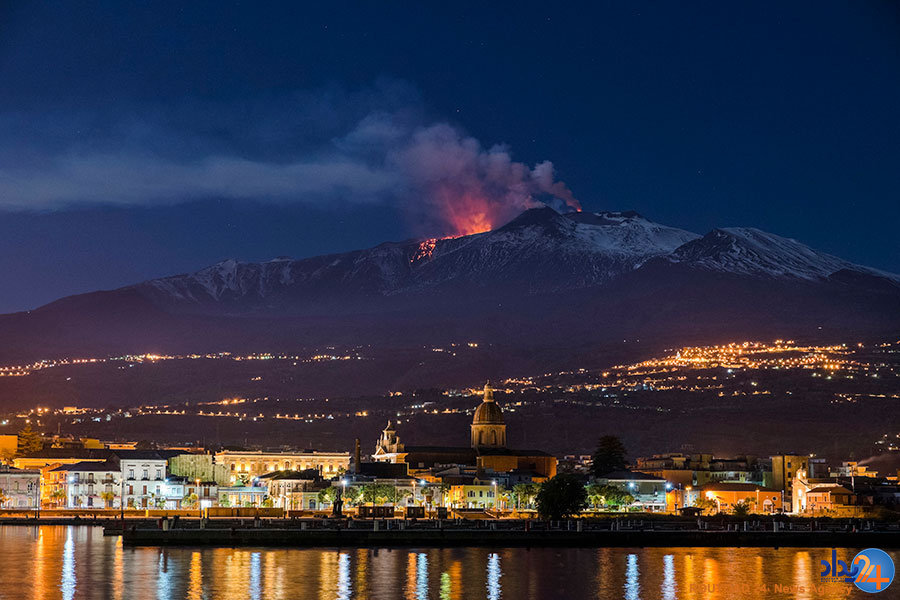 از توله ببرها در صف واکسن تا فیلهای بازیگوش از توله ببرها در صف واکسن تا فیلهای بازیگوش