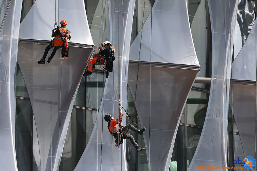 از توله ببرها در صف واکسن تا فیلهای بازیگوش از توله ببرها در صف واکسن تا فیلهای بازیگوش