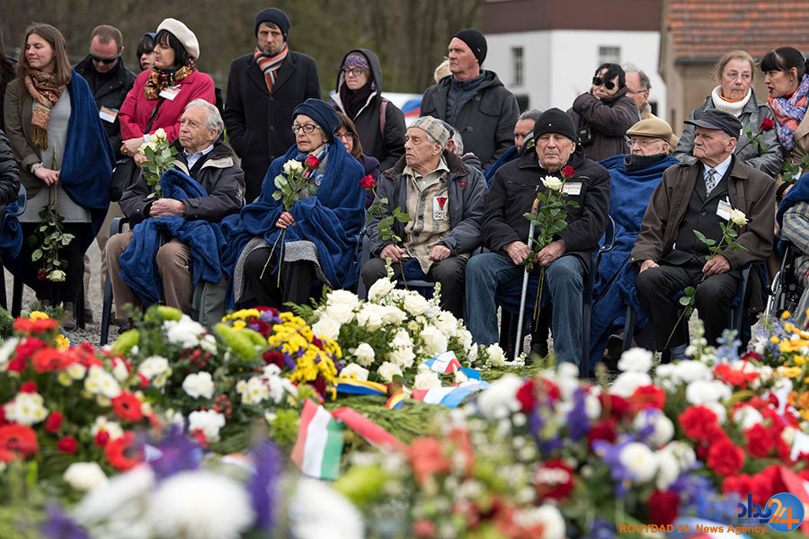 از توله ببرها در صف واکسن تا فیلهای بازیگوش از توله ببرها در صف واکسن تا فیلهای بازیگوش