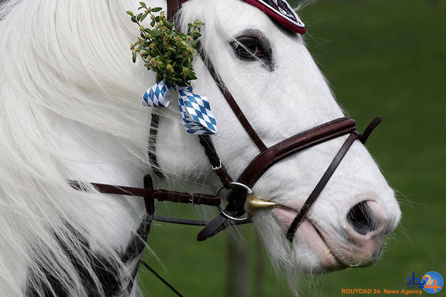 از اعتراض تا جشن