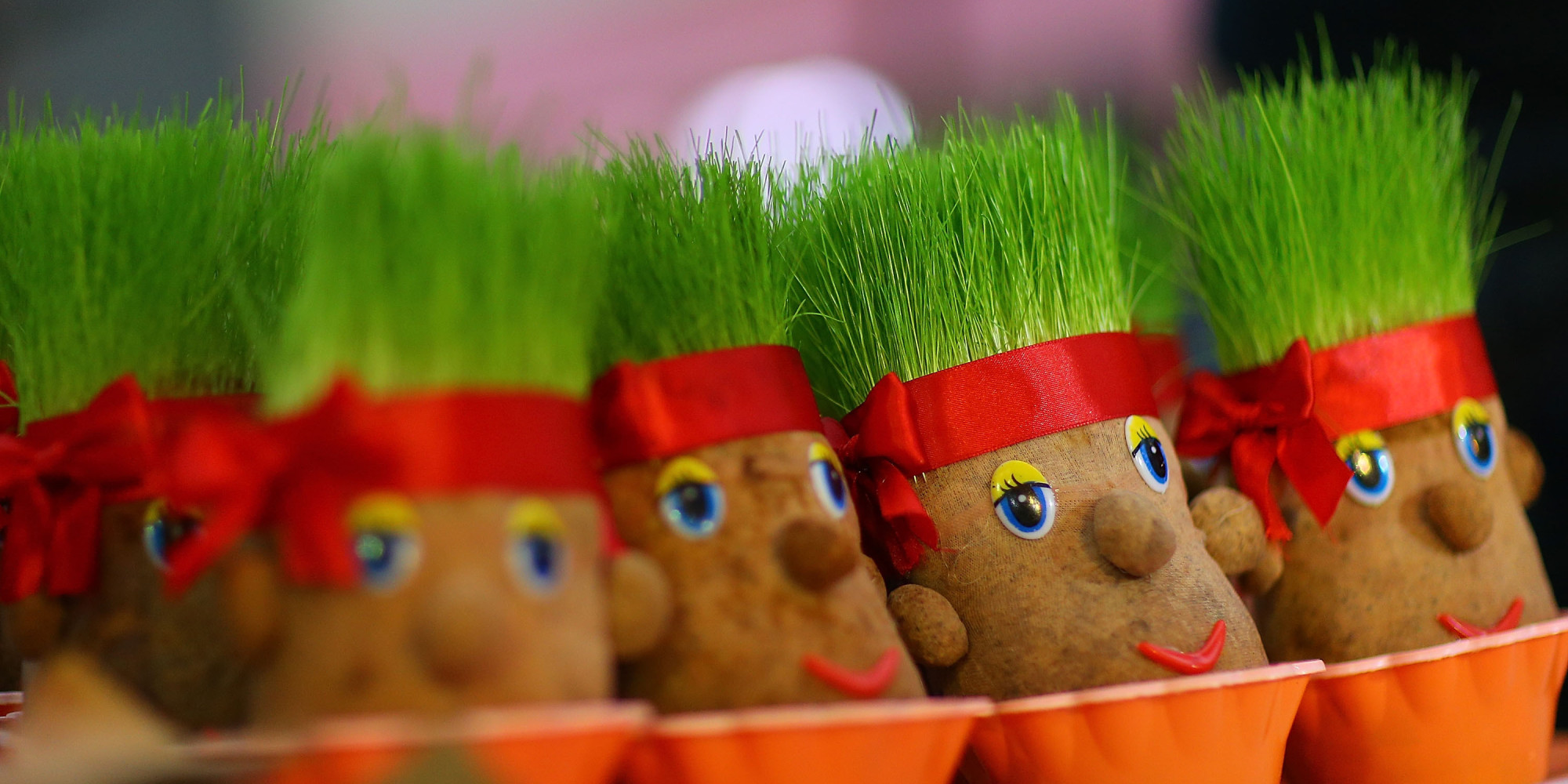 سال تدبیر، سال تقدیر