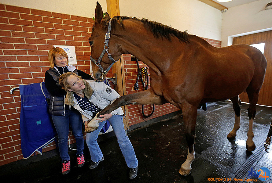 از نمایشگاه تسلیحات در عربستان تا رودخانه آلوده جمنا در هند