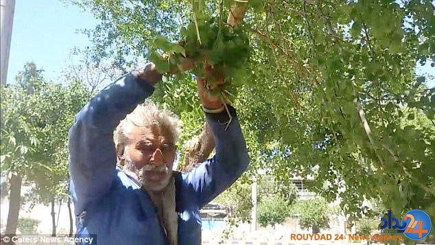 مرد پاکستانی معتاد به خوردن درخت (تصاویر)