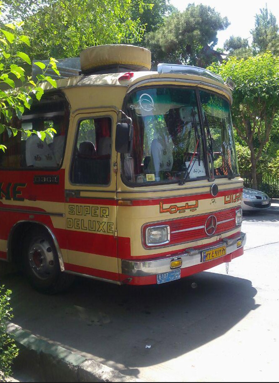 گفتند به کنسرت بابک جهانبخش می‌رویم و نهار می‌دهند/ رای من روحانی است + صدا و عکس