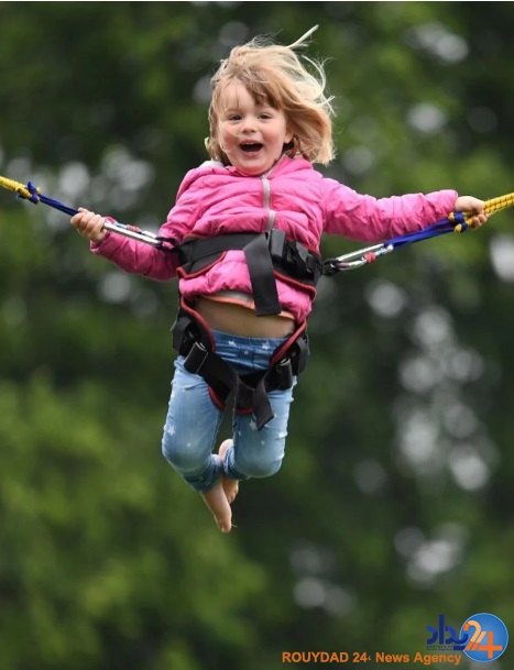 از ببر و توله‌هایش تا ستاره‌های شنی در گینس