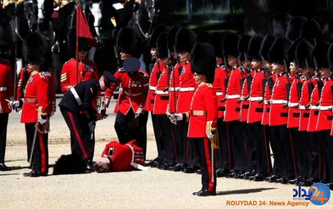 از ببر و توله‌هایش تا ستاره‌های شنی در گینس