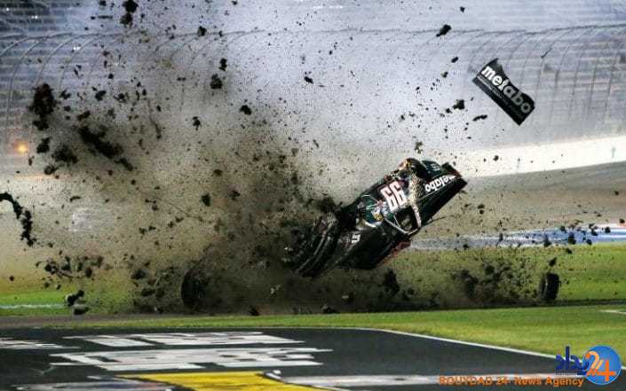 از ببر و توله‌هایش تا ستاره‌های شنی در گینس