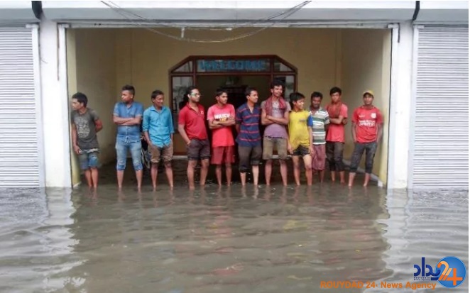 دشت خشخاش‌ها و شکار لحظه‌ها