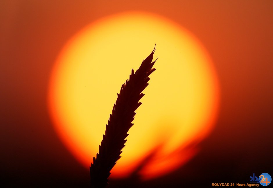 از عید قربان در پاکستان تا شعله‌های آتش در کالیفرنیا