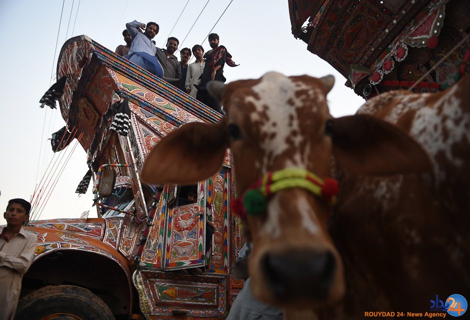 از عید قربان در پاکستان تا شعله‌های آتش در کالیفرنیا