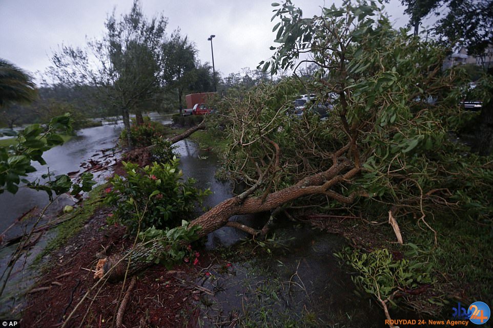 ترس از وقوع بحران انسانی در پی طوفان ایرما در فلوریدا (تصاویر)