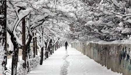 پیش بینی یخبندان ۱۰ روزه در دی ماه جاری