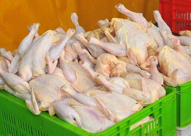 بهانه‎های جدید برای گرانفروشی مرغ
