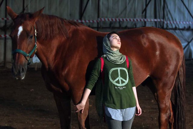 فیلمی که تبلیغ میشود اما اکران نیست! فیلمی که تبلیغ میشود اما اکران نیست!