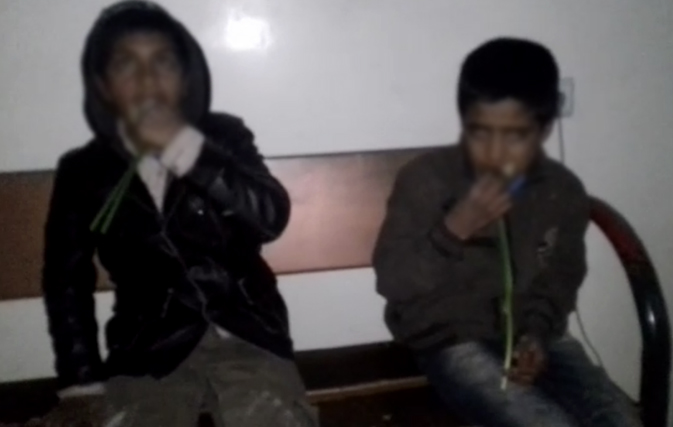 شهردار کرمان/ کودکان گل فروش