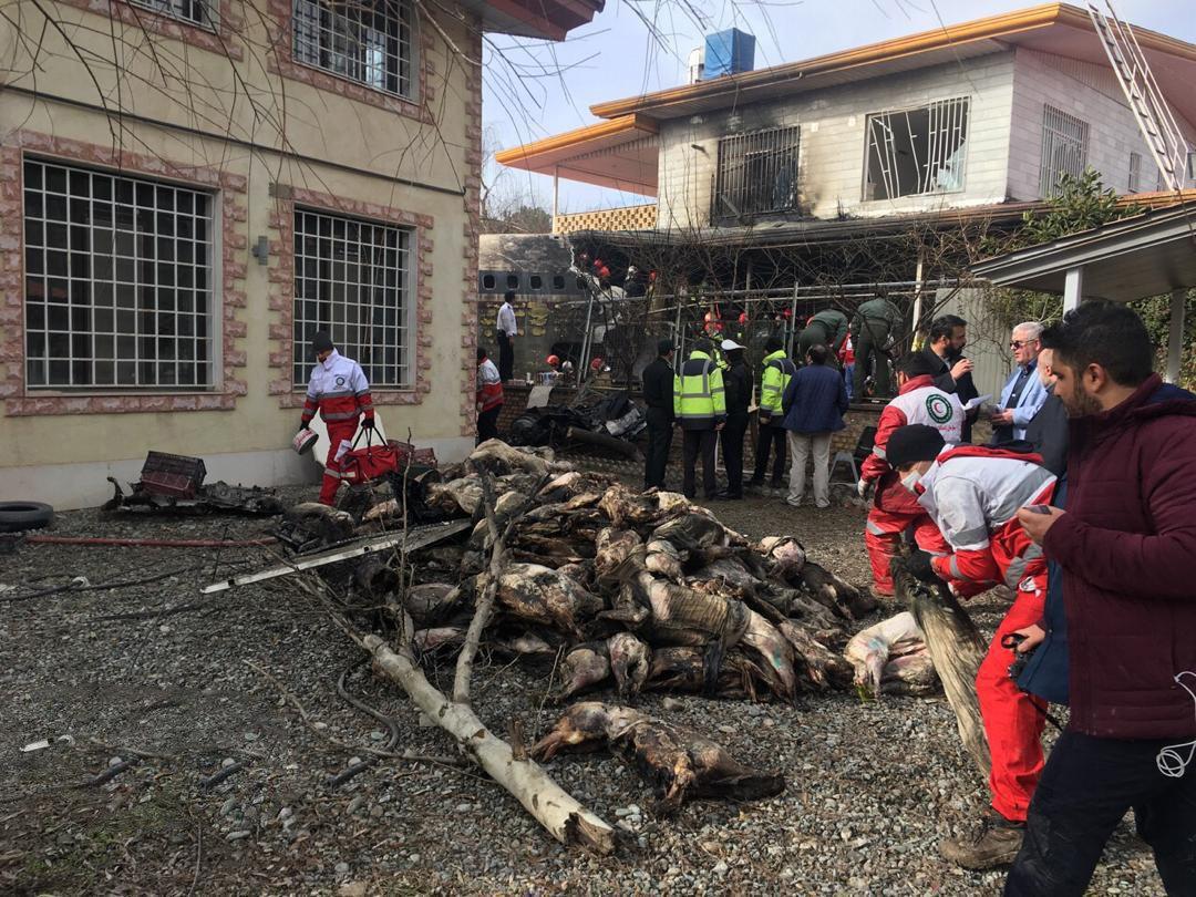 تصویر بخشی از محموله گوشت هواپیمای سقوط کرده در کرج