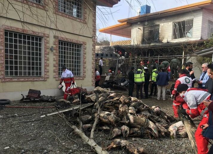 محموله گوشت هواپیمای سانحه دیده معدوم شد