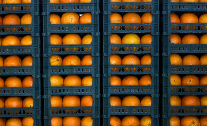 دفن میوه های شب عید با ذخیره سازی اشتباه دفن میوه های شب عید با ذخیره سازی اشتباه