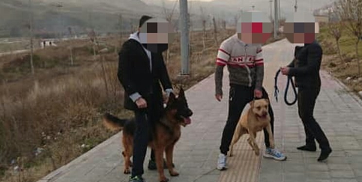 آخرین وضعیت پرونده حمله سگ به یک خانواده