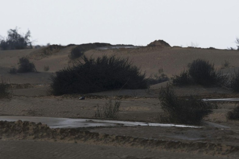 سایه مرگبار مالچ‌پاشی بر طبیعت خوزستان +تصاویر