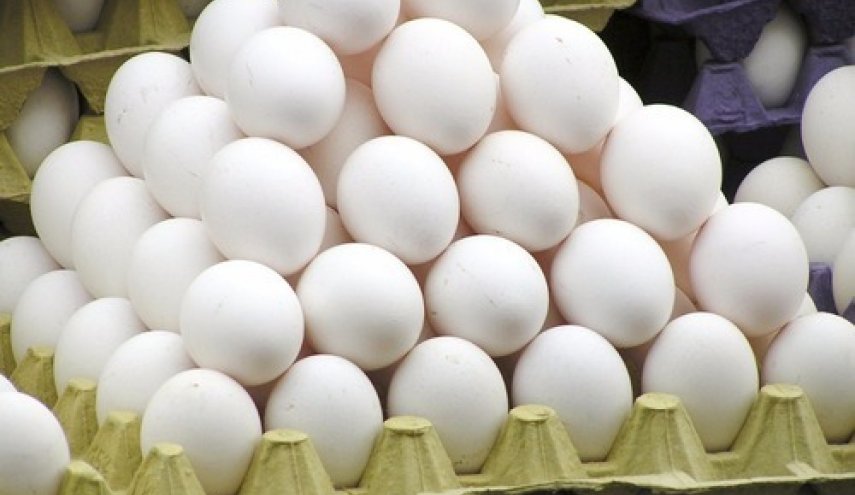تخم‌مرغ‌ های وارداتی موجب کاهش قیمت شد