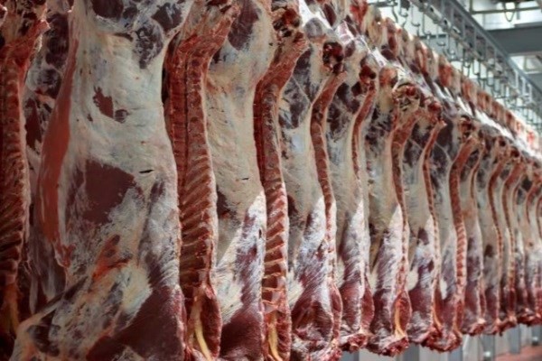 زورآزمایی قاچاقچیان و دلالان در بازار گوشت