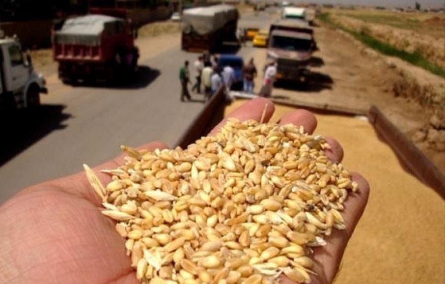 جزئیات توقف عرضه گندم در بورس کالا/ قاچاق گندم به عراق/ فروش شبانه آرد از سوی نانوایی‌ها/ تکرار سناریوی گوشت برای نان