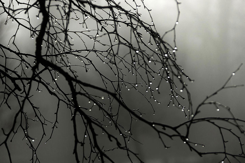 شنبه سراسر کشور بارانی است