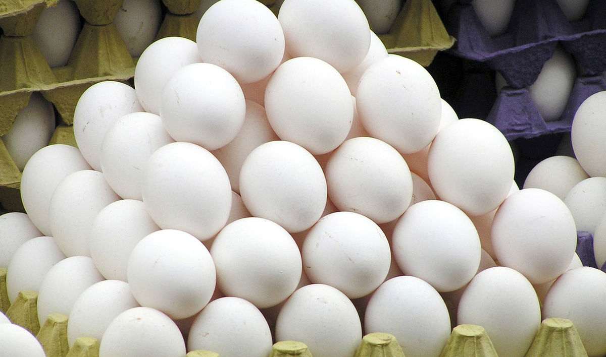 احتمال وضع عوارض برای صادرات تخم مرغ