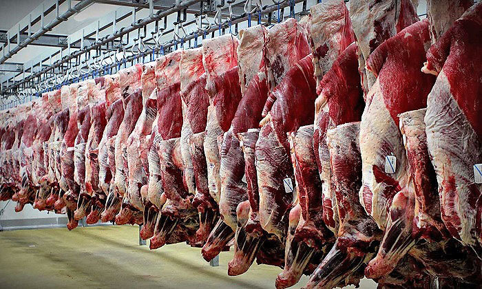۴۰ شرکتی که عمداً ۱۷ هزار تن گوشت را دپو کردند، آیا رانت اطلاعاتی داشته اند؟