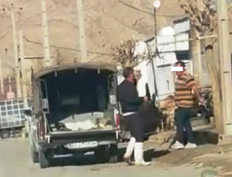 دستگیری مظنونان فروش گوسفند مرده در شیراز دستگیری مظنونان فروش گوسفند مرده در شیراز