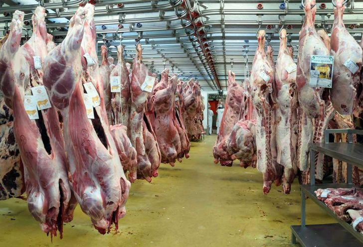 نقش عربستان در خروج دام از کشور