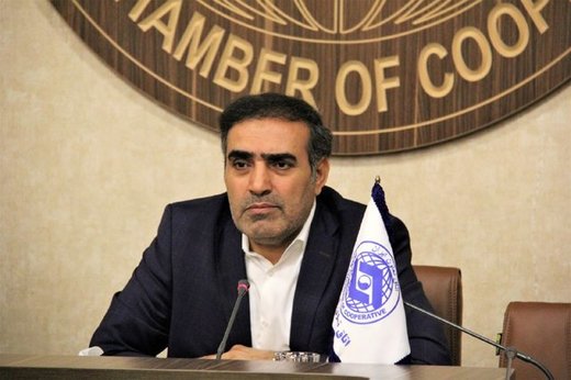 سیستم فعلی توزیع کالا صحیح نیست/ دولت به داد تعاونیها برسد سیستم فعلی توزیع کالا صحیح نیست/ دولت به داد تعاونیها برسد