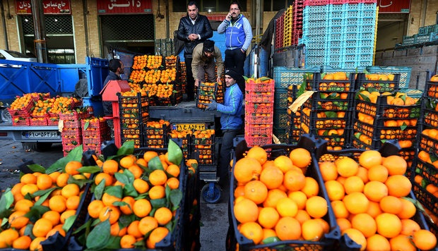 جزئیات انواع میوه و سبزی در میدان مرکزی/ افزایش قیمت پرتقال